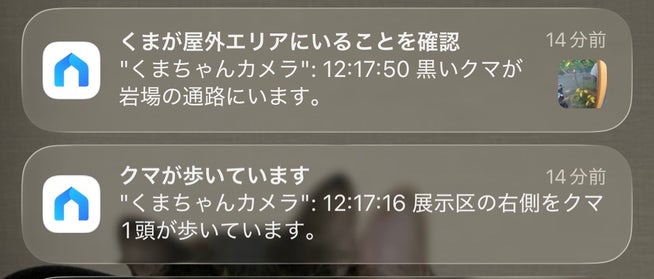 TP-Link、AIアシスタント「Tapo AI」日本導入準備開始 - 画像2