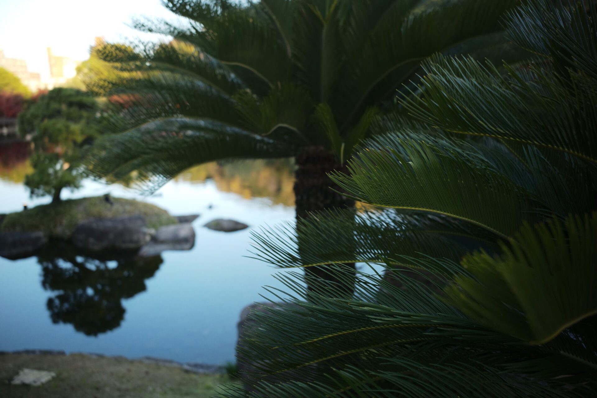 焦点工房、Thypochのパンケーキレンズ「Eureka 28mm f/2.8 ASPH.」富士フイルムXマウント用を発売 - 画像13