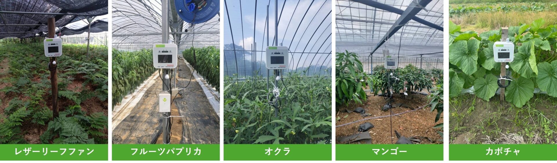 東京エレクトロン デバイス、鹿児島県南種子町でIoT農業支援を展開 - 画像1