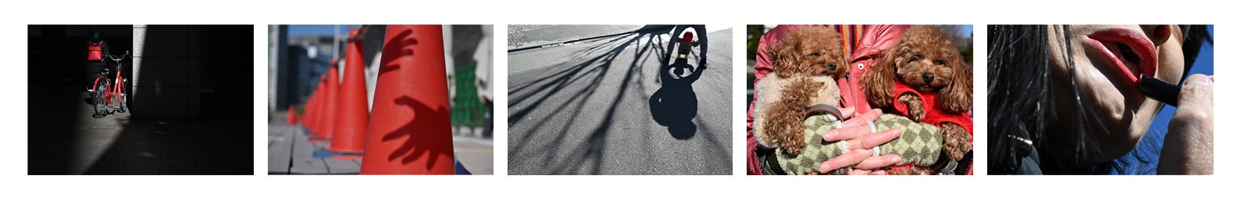 ニコンIJ、全国高校生写真サミット2026をニコン本社で開催 - 画像8