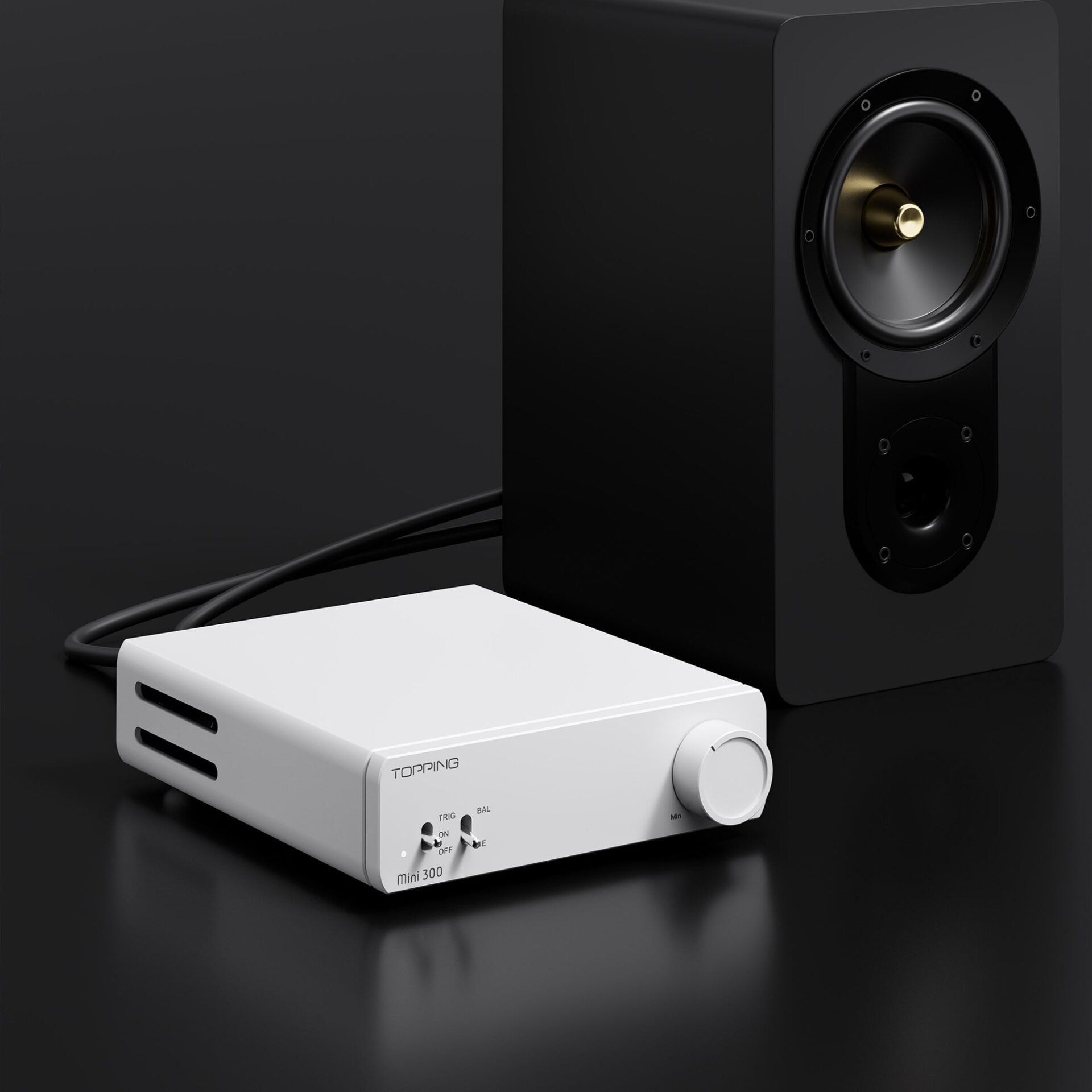 TOPPING、コンパクトデスクトップパワーアンプ「Mini300」を発売 - 画像4