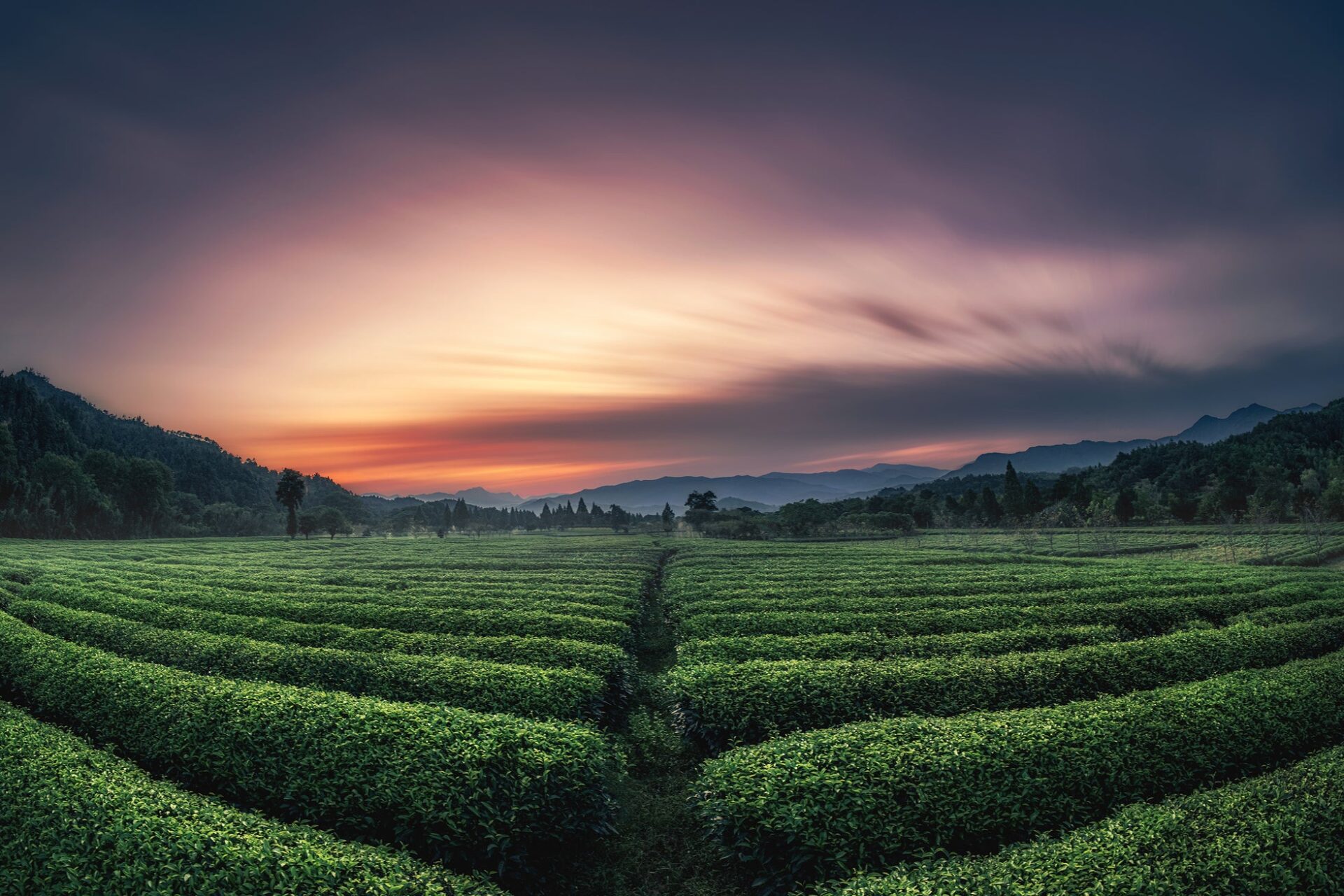 焦点工房、銘匠光学の魚眼レンズ「11mm f/2.8 Fisheye」にシルバーモデルを追加 - 画像11