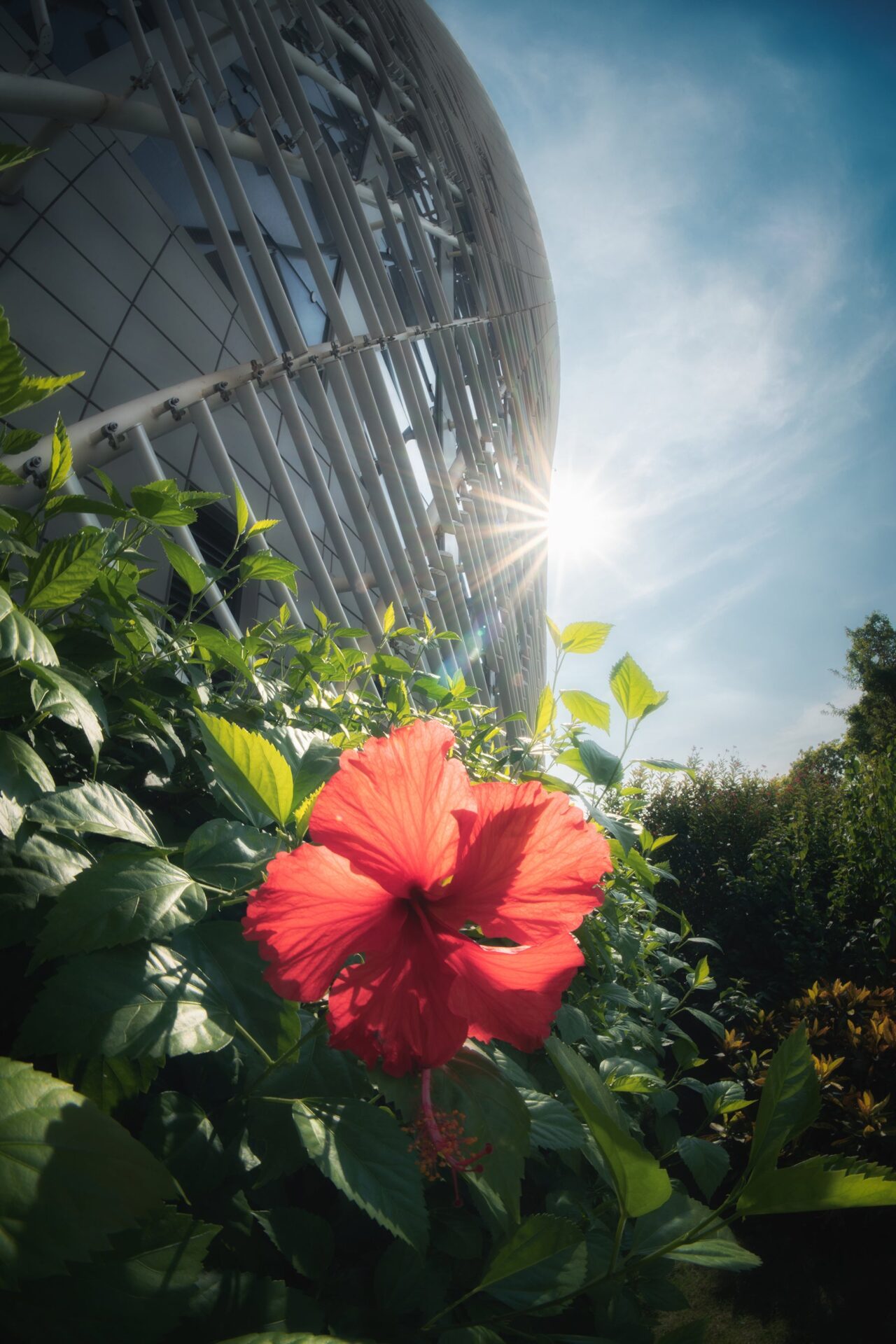 焦点工房、銘匠光学の魚眼レンズ「11mm f/2.8 Fisheye」にシルバーモデルを追加 - 画像15