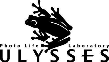 ULYSSES、リコーGR4専用レザーボディスーツを発売 - 画像9