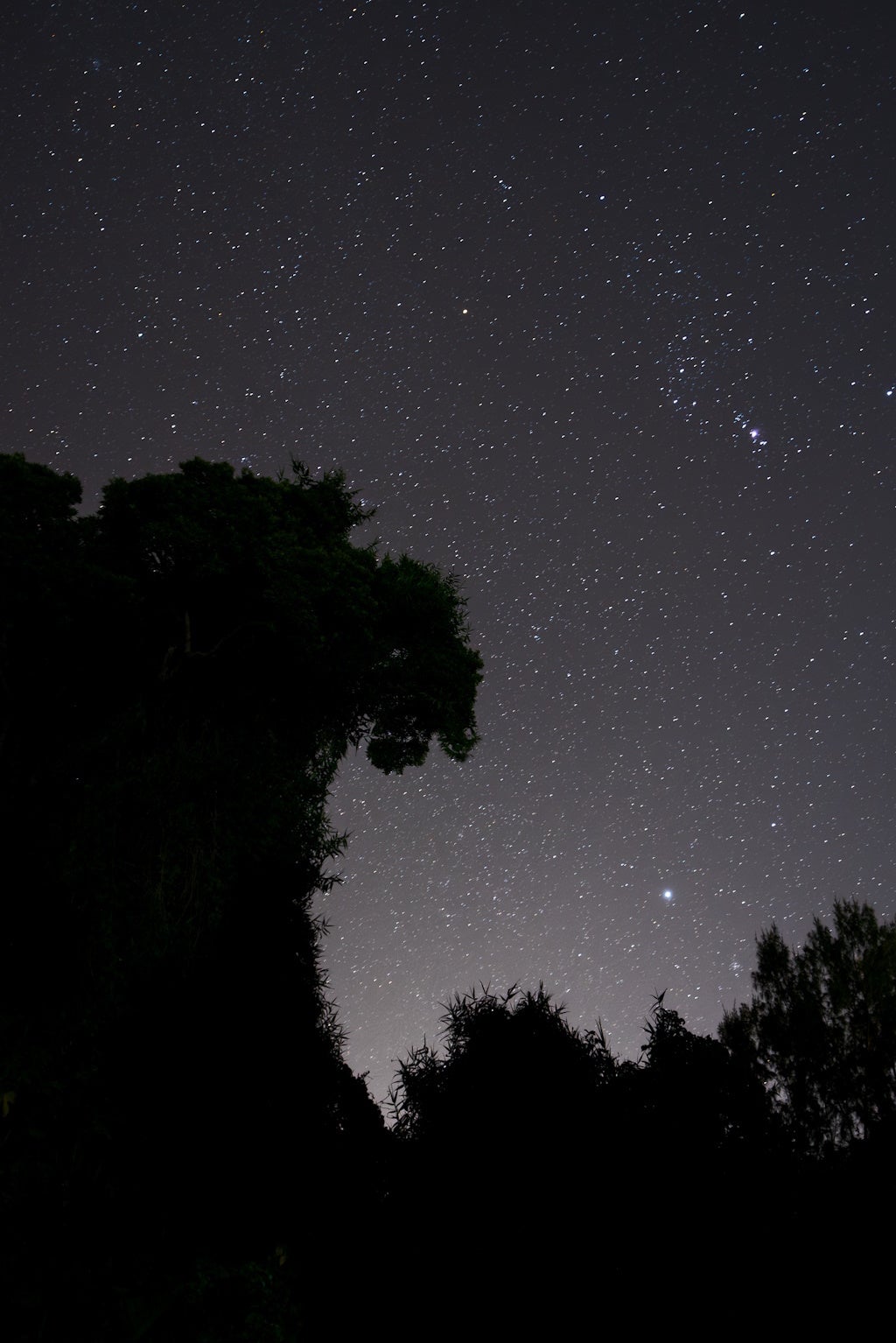 ビクセン、「星空フォトコンテスト2025」入賞作品を発表 - 画像5