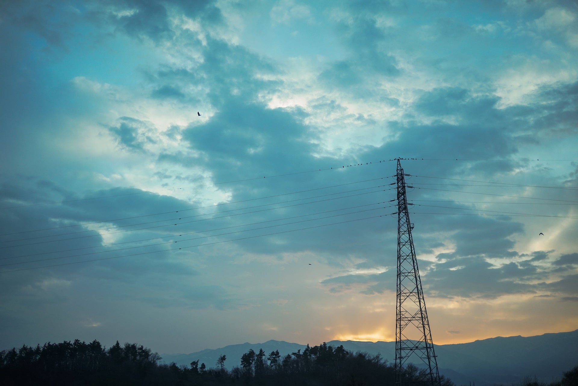 フォクトレンダー、SEPTON 40mm F2 AsphericalをソニーEマウントで発売 - 画像6