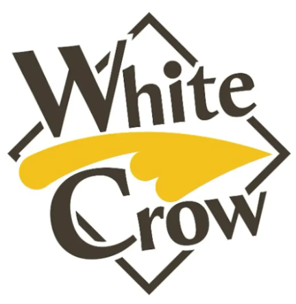 White Crowと九電ドローンサービスがドローンショーで協業 - 画像4