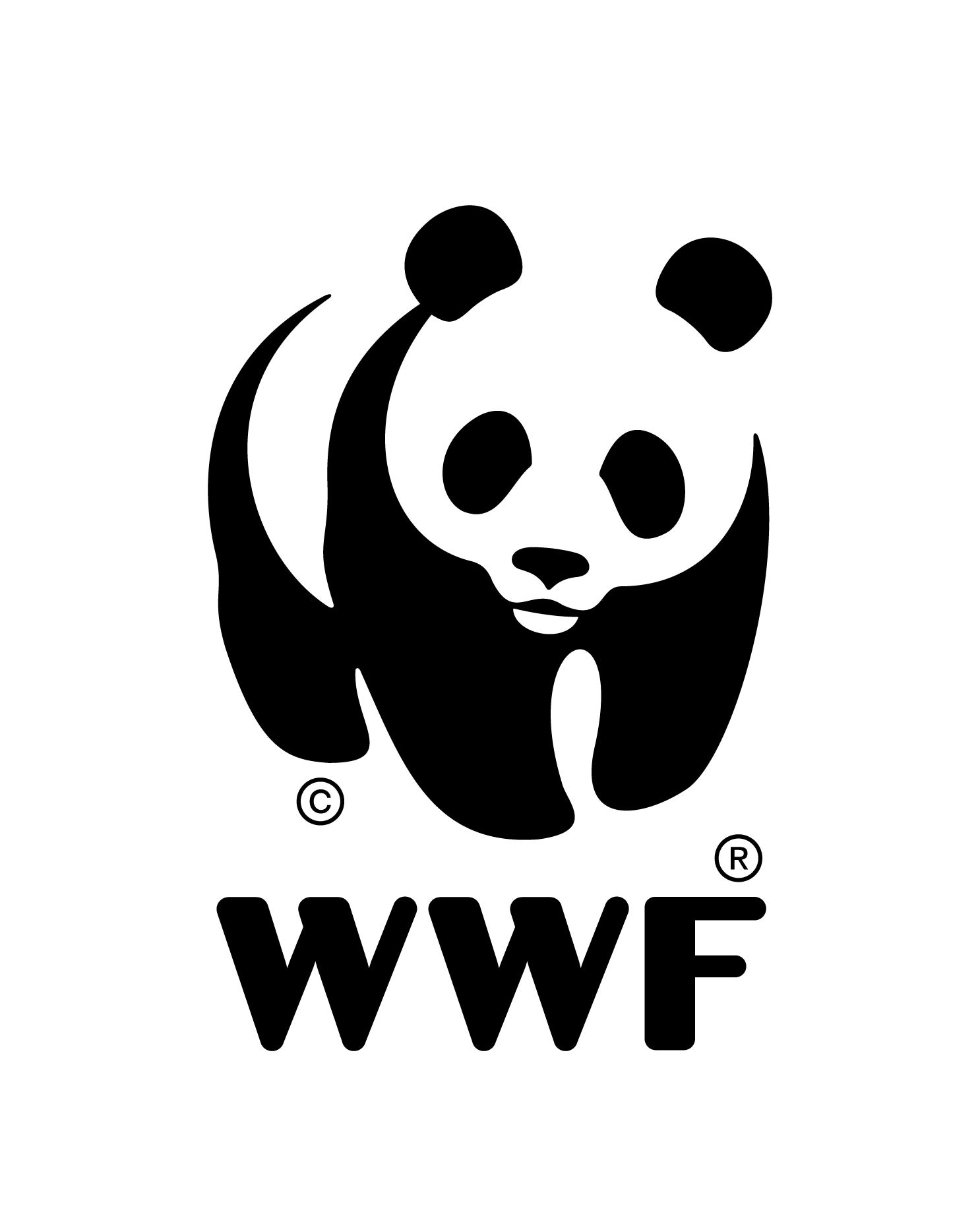 WWFとセイコーエプソン、森林保全パートナーシップを更新 - 画像1