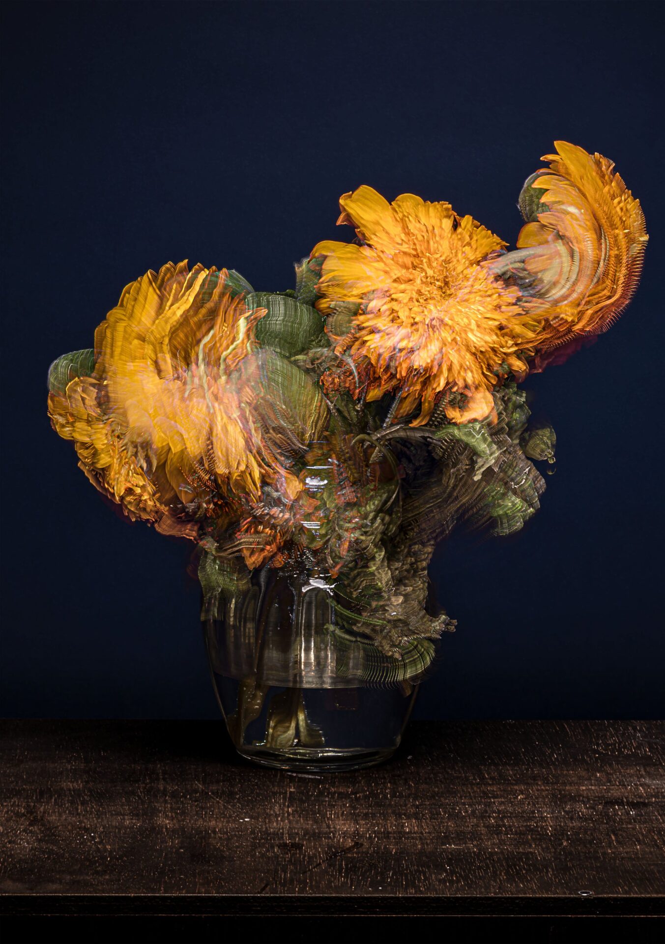 新進写真家発掘コンテスト「ZOOMS JAPAN 2026」ショートリスト発表 - 画像2